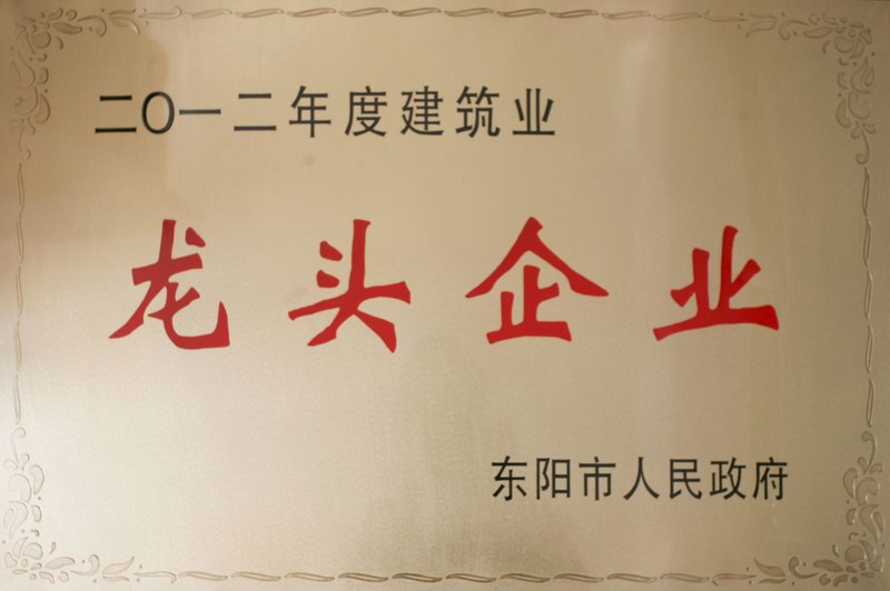 浙江新東陽建設(shè)集團有限公司